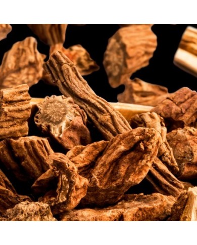 Bernumode | Мужчинам Bernumode | Мужчинам