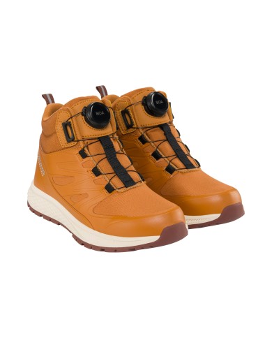 Bernumode|Viking Bernumode|Viking