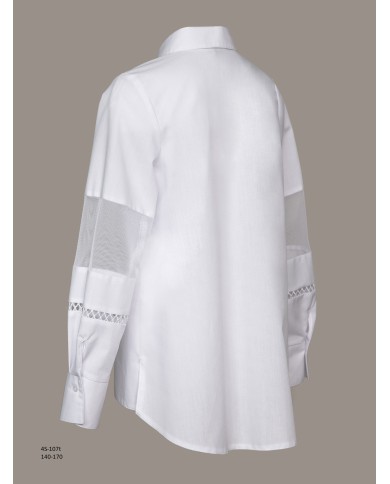 Bernumode|SLY Bernumode|SLY