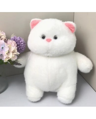 Bernumode | Toys, gifts Bernumode | Toys, gifts