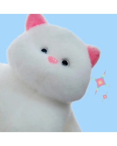 Bernumode | Toys, gifts Bernumode | Toys, gifts