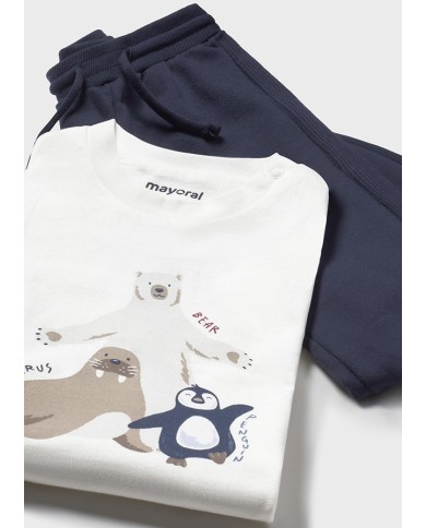 Bernumode|Mayoral Bernumode|Mayoral