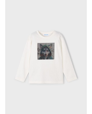 Bernumode|Mayoral Bernumode|Mayoral