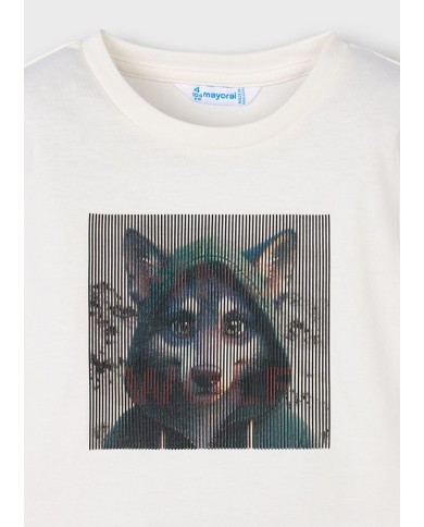 Bernumode|Mayoral Bernumode|Mayoral