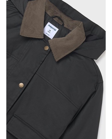 Bernumode|Mayoral Bernumode|Mayoral