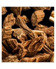 Bernumode | YODEYMA: ROOT Miniperfume 15ML 6,69 € Neaizmirstamais citrusu sajaukums sākuma notīs kombinācijā ar kardamonu un dzintaru piešķir šim parfīmam intensīvu un pievilcīgu aromātu.
Austrumniecisks - Koka Parfīms jūtīgam, elegantam, vīrišķīgam un klasiskam vīrietim.
Sākuma notis ir tās, kuras parfīmā sajūtamas pašas pirmās.Sirds notis ir smaržu esence un būtība.Fona notis ir tās, kuras parfīmam piešķir dziļumu un noturību.


Sākuma nots
Greipfrūts


Sirds nots
Ģerānija


Fona nots
Pačūlija

