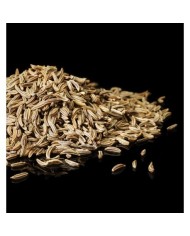 Bernumode | YODEYMA: TIMELESS Miniperfume 15ML 6,69 € Kumīna pikantais aromāts, īrisa jutekliskā klātbūtne un ciedra noturīgais aromāts rada vienmēr aktuālu klasisku parfīmu. Pastāvīgs un juteklisks.



Koka - PikantsUzmanību piesaistošs parfīms elegantam vīrietim.
Sākuma notis ir tās, kuras parfīmā sajūtamas pašas pirmās.Sirds notis ir smaržu esence un būtība.Fona notis ir tās, kuras parfīmam piešķir dziļumu un noturību.


Sākuma nots
Kumins


Sirds nots
Īriss


Fona nots
Ciedrs




