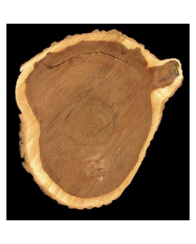 Bernumode | Мужчинам Bernumode | Мужчинам