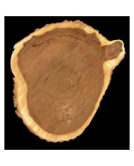 Bernumode | YODEYMA: TIMELESS Miniperfume 15ML 6,69 € Kumīna pikantais aromāts, īrisa jutekliskā klātbūtne un ciedra noturīgais aromāts rada vienmēr aktuālu klasisku parfīmu. Pastāvīgs un juteklisks.



Koka - PikantsUzmanību piesaistošs parfīms elegantam vīrietim.
Sākuma notis ir tās, kuras parfīmā sajūtamas pašas pirmās.Sirds notis ir smaržu esence un būtība.Fona notis ir tās, kuras parfīmam piešķir dziļumu un noturību.


Sākuma nots
Kumins


Sirds nots
Īriss


Fona nots
Ciedrs




