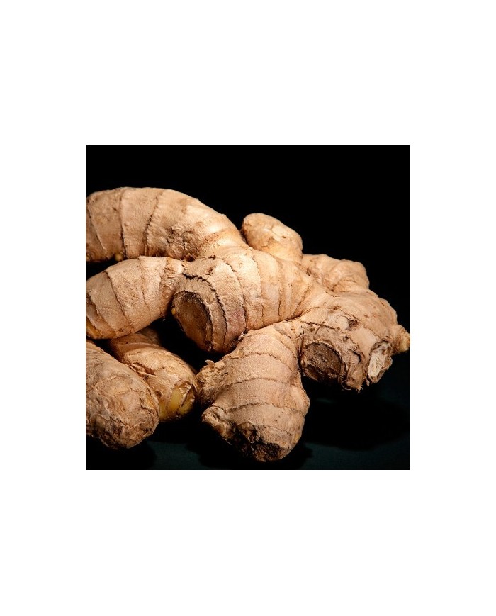 Bernumode | YODEYMA: TIMELESS Miniperfume 15ML 6,69 € Pikantās ingvera sākuma notis kopā ar kanēļa aromātu un mirrēm rada provokatīvu un neatvairāmu aromātu.
Fougère – PikantsComplicidad ir parfīms nevaldāmam un valdzinošam vīrietim. 
Sākuma notis ir tās, kuras parfīmā sajūtam pašas pirmās. Sirds notis ir parfīma dvēsele. Fona notis piešķir parfīmam dziļumu.


Sākuma nots
Ingvers


Sirds nots
Kanēlis


Fona nots
Mirre

