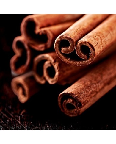 Bernumode | Мужчинам Bernumode | Мужчинам