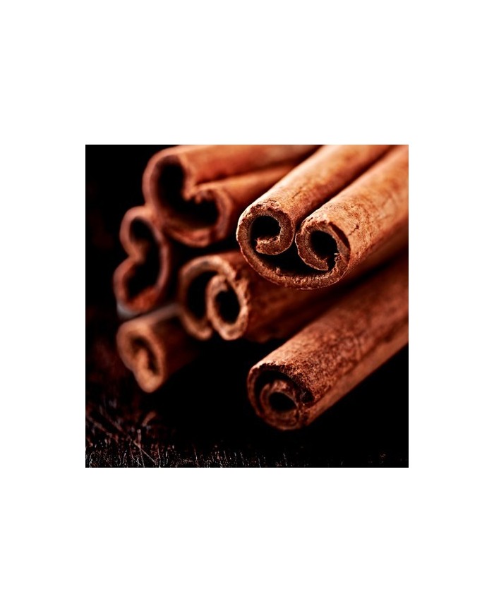 Bernumode | YODEYMA: TIMELESS Miniperfume 15ML 6,69 € Pikantās ingvera sākuma notis kopā ar kanēļa aromātu un mirrēm rada provokatīvu un neatvairāmu aromātu.
Fougère – PikantsComplicidad ir parfīms nevaldāmam un valdzinošam vīrietim. 
Sākuma notis ir tās, kuras parfīmā sajūtam pašas pirmās. Sirds notis ir parfīma dvēsele. Fona notis piešķir parfīmam dziļumu.


Sākuma nots
Ingvers


Sirds nots
Kanēlis


Fona nots
Mirre

