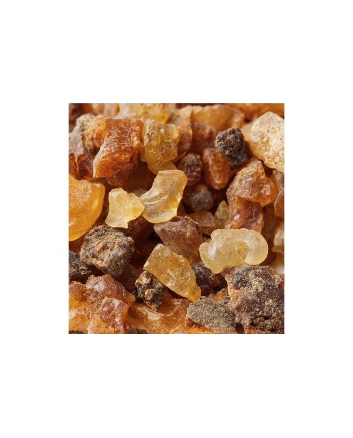 Bernumode | YODEYMA: TIMELESS Miniperfume 15ML 6,69 € Pikantās ingvera sākuma notis kopā ar kanēļa aromātu un mirrēm rada provokatīvu un neatvairāmu aromātu.
Fougère – PikantsComplicidad ir parfīms nevaldāmam un valdzinošam vīrietim. 
Sākuma notis ir tās, kuras parfīmā sajūtam pašas pirmās. Sirds notis ir parfīma dvēsele. Fona notis piešķir parfīmam dziļumu.


Sākuma nots
Ingvers


Sirds nots
Kanēlis


Fona nots
Mirre

