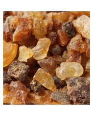 Bernumode | YODEYMA: TIMELESS Miniperfume 15ML 6,69 € Pikantās ingvera sākuma notis kopā ar kanēļa aromātu un mirrēm rada provokatīvu un neatvairāmu aromātu.
Fougère – PikantsComplicidad ir parfīms nevaldāmam un valdzinošam vīrietim. 
Sākuma notis ir tās, kuras parfīmā sajūtam pašas pirmās. Sirds notis ir parfīma dvēsele. Fona notis piešķir parfīmam dziļumu.


Sākuma nots
Ingvers


Sirds nots
Kanēlis


Fona nots
Mirre

