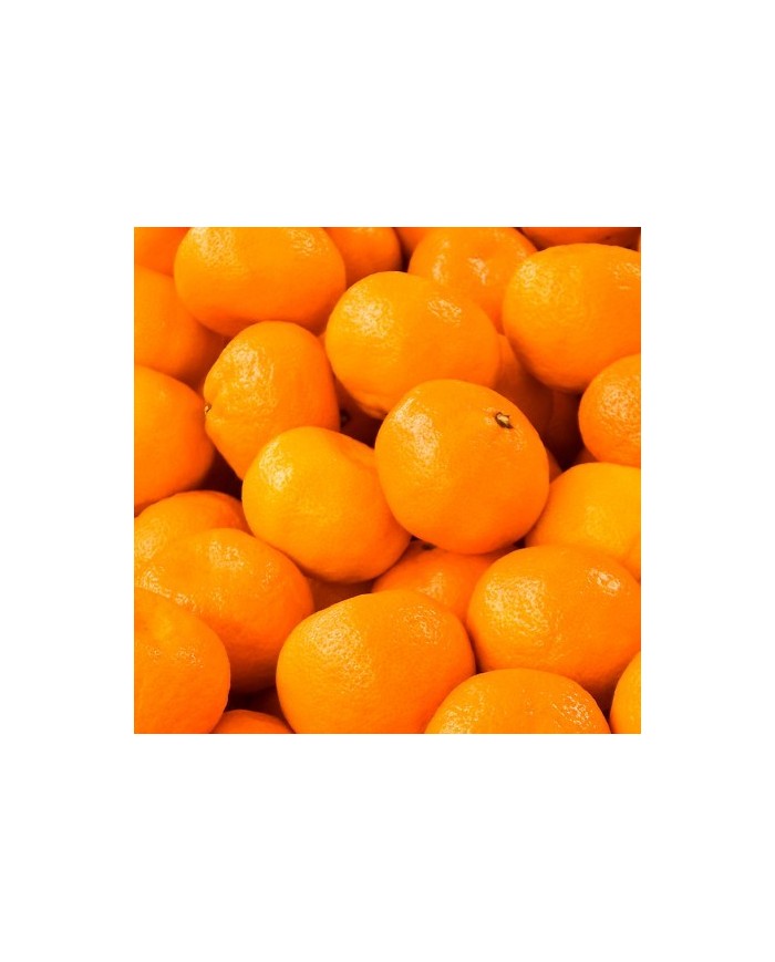 Bernumode | YODEYMA: VIVACITY Miniperfume 15ML €6.69 Vibrant citrus notes harmoniously blend with the soothing aroma of rose, creating a gentle and joyful fragrance.
Floral - WoodyFor the vital and delicate woman.
Top notes are the first scents you experience when you apply the perfume.
Heart notes are the soul of the fragrance.
Base notes give depth to the perfume.
Top note:Mandarin
Heart note:Grass Rose
Base note:Sandalwood Bernumode | YODEYMA: VIVACITY Miniperfume 15ML €6.69 Vibrant citrus notes harmoniously blend with the soothing aroma of rose, creating a gentle and joyful fragrance.
Floral - WoodyFor the vital and delicate woman.
Top notes are the first scents you experience when you apply the perfume.
Heart notes are the soul of the fragrance.
Base notes give depth to the perfume.
Top note:Mandarin
Heart note:Grass Rose
Base note:Sandalwood