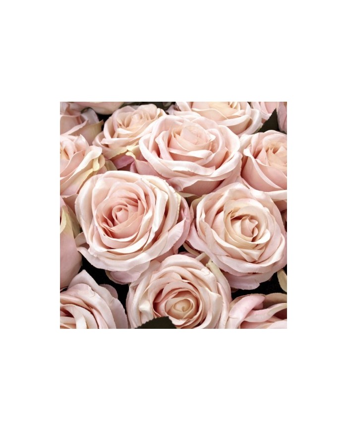 Bernumode | YODEYMA: VIVACITY Miniperfume 15ML €6.69 Vibrant citrus notes harmoniously blend with the soothing aroma of rose, creating a gentle and joyful fragrance.
Floral - WoodyFor the vital and delicate woman.
Top notes are the first scents you experience when you apply the perfume.
Heart notes are the soul of the fragrance.
Base notes give depth to the perfume.
Top note:Mandarin
Heart note:Grass Rose
Base note:Sandalwood Bernumode | YODEYMA: VIVACITY Miniperfume 15ML €6.69 Vibrant citrus notes harmoniously blend with the soothing aroma of rose, creating a gentle and joyful fragrance.
Floral - WoodyFor the vital and delicate woman.
Top notes are the first scents you experience when you apply the perfume.
Heart notes are the soul of the fragrance.
Base notes give depth to the perfume.
Top note:Mandarin
Heart note:Grass Rose
Base note:Sandalwood