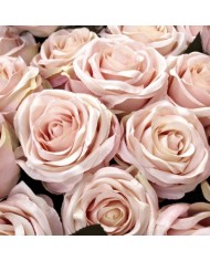 Bernumode | YODEYMA: VIVACITY Miniperfume 15ML €6.69 Vibrant citrus notes harmoniously blend with the soothing aroma of rose, creating a gentle and joyful fragrance.
Floral - WoodyFor the vital and delicate woman.
Top notes are the first scents you experience when you apply the perfume.
Heart notes are the soul of the fragrance.
Base notes give depth to the perfume.
Top note:Mandarin
Heart note:Grass Rose
Base note:Sandalwood Bernumode | YODEYMA: VIVACITY Miniperfume 15ML €6.69 Vibrant citrus notes harmoniously blend with the soothing aroma of rose, creating a gentle and joyful fragrance.
Floral - WoodyFor the vital and delicate woman.
Top notes are the first scents you experience when you apply the perfume.
Heart notes are the soul of the fragrance.
Base notes give depth to the perfume.
Top note:Mandarin
Heart note:Grass Rose
Base note:Sandalwood