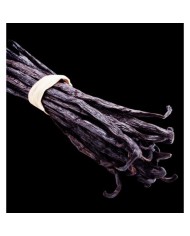 Bernumode | YODEYMA: Black Elixir Miniperfume 15мл 6,69 € Интенсивный аромат кофе и сладкое сочетание ликёра и ванили создают таинственный и чувственный парфюм.
Восточный Древесно-ФруктовыйСоблазнительный парфюм для женщины с выраженной притягательностью.Верхние ноты — те, которые ощущаются в аромате первыми.Сердечные ноты — сущность и основа запаха.Базовые ноты придают парфюму глубину и стойкость.
Верхняя нотаКофе
Сердечная нотаЛикёр
Базовая нотаВаниль
