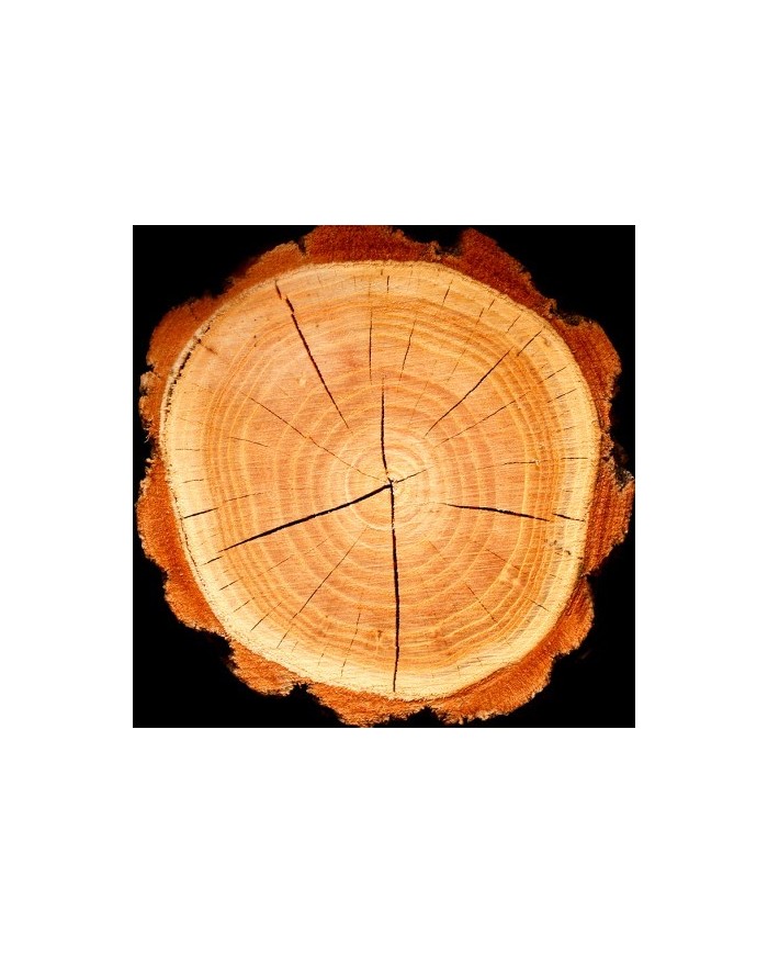 Bernumode | YODEYMA: Boreal Perfume 50мл 17,40 € Boreal Amber от парфюмерии Yodeyma — притягательный, яркий и интенсивный аромат, сочетающий в себе ноты жасмина, шафрана, кедра и амбры.
Притягательный, сияющий и интенсивный, с нотами амбры, дерева и цветов, создающими чувственный и элегантный аромат, который со временем становится все интенсивнее.
Верхняя часть пирамиды аромата
Жасмин
Нота сердца
Шафран
Нота шлейфа
Дерево

