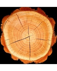 Bernumode | YODEYMA: Boreal Perfume 50мл 17,40 € Boreal Amber от парфюмерии Yodeyma — притягательный, яркий и интенсивный аромат, сочетающий в себе ноты жасмина, шафрана, кедра и амбры.
Притягательный, сияющий и интенсивный, с нотами амбры, дерева и цветов, создающими чувственный и элегантный аромат, который со временем становится все интенсивнее.
Верхняя часть пирамиды аромата
Жасмин
Нота сердца
Шафран
Нота шлейфа
Дерево

