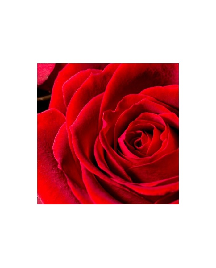 Bernumode | YODEYMA: Silk Elixir Miniperfume 15мл 7,60 € Аромат, который останавливает время, оставляя ощущение вечности в каждой капле. Парфюм, созданный, чтобы передать саму суть настоящего: неотразимую, нежную и деликатную.
Основные ноты:
Верхняя нотаФиалка
Сердечная нотаУд
Базовая нотаДамасская роза
