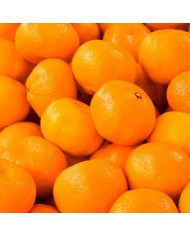 Bernumode | YODEYMA: VIVACITY Miniperfume 15мл 6,69 € Яркие цитрусовые ноты гармонично сочетаются с умиротворяющим ароматом розы, создавая нежный и радостный парфюм.
Цветочный - ДревесныйДля жизненной и нежной женщины.


Начальные ноты — это ароматы, которые ощущаются первыми при нанесении парфюма.


Сердечные ноты — это душа аромата.


Базовые ноты придают парфюму глубину.


Начальная нота:Мандарин
Сердечная нота:Травяная роза
Базовая нота:Сандаловое дерево